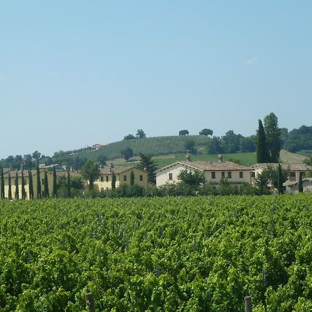 Agriturismo Villaggio Green Montefalco Exterior photo